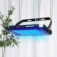 UV Face Tanning Lamp Sun